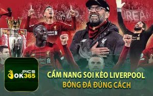 Cẩm nang soi kèo Liverpool đúng cách