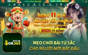 Mẹo Chơi Bài Tứ Sắc Cho Người Mới Bắt Đầu